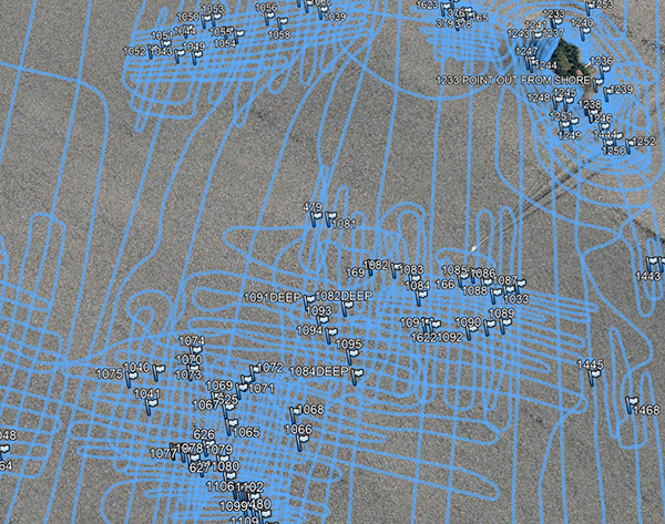 Survey tracks